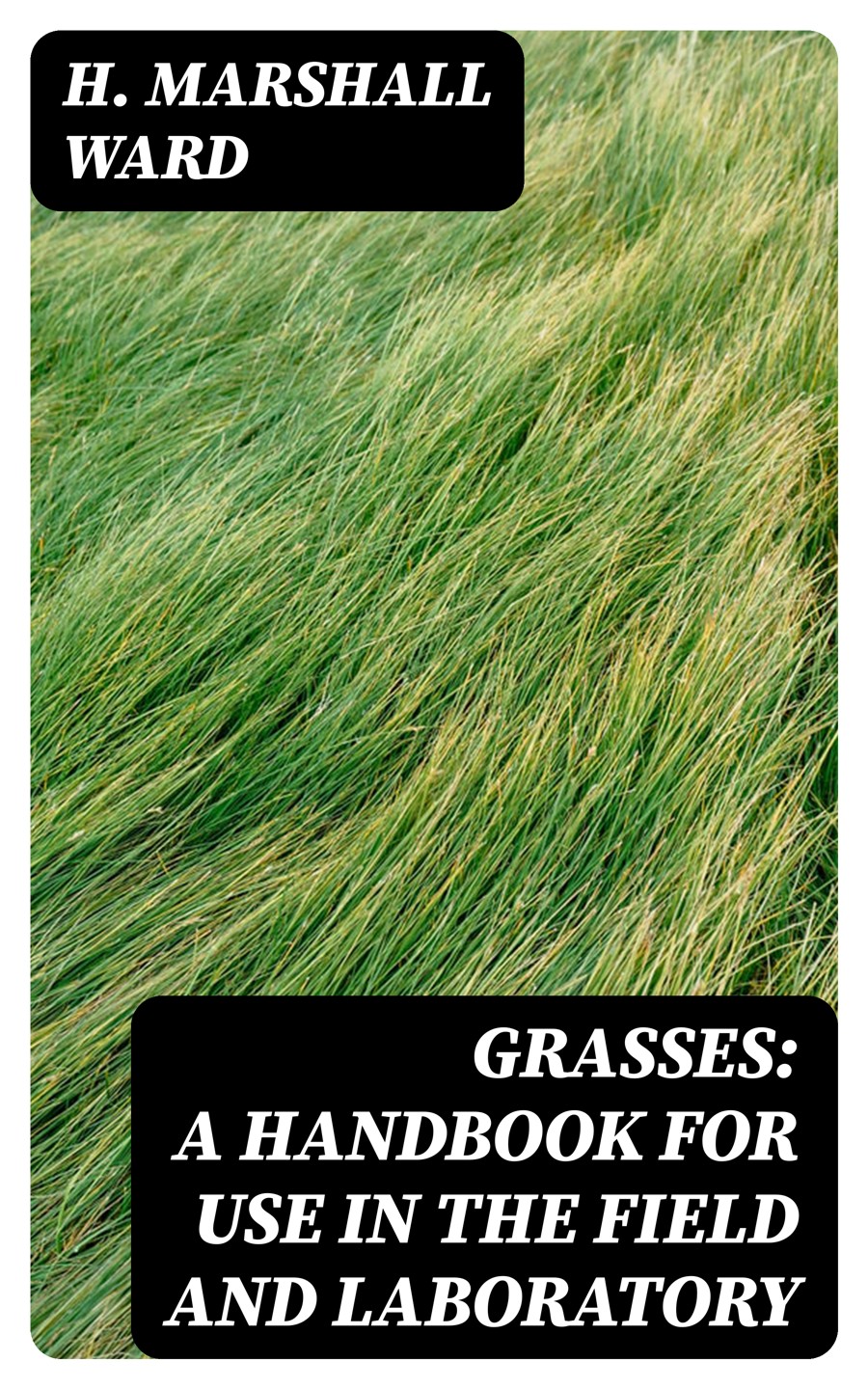 Grasses A Handbook For Use In The Field And Laboratory H Marshall Ward