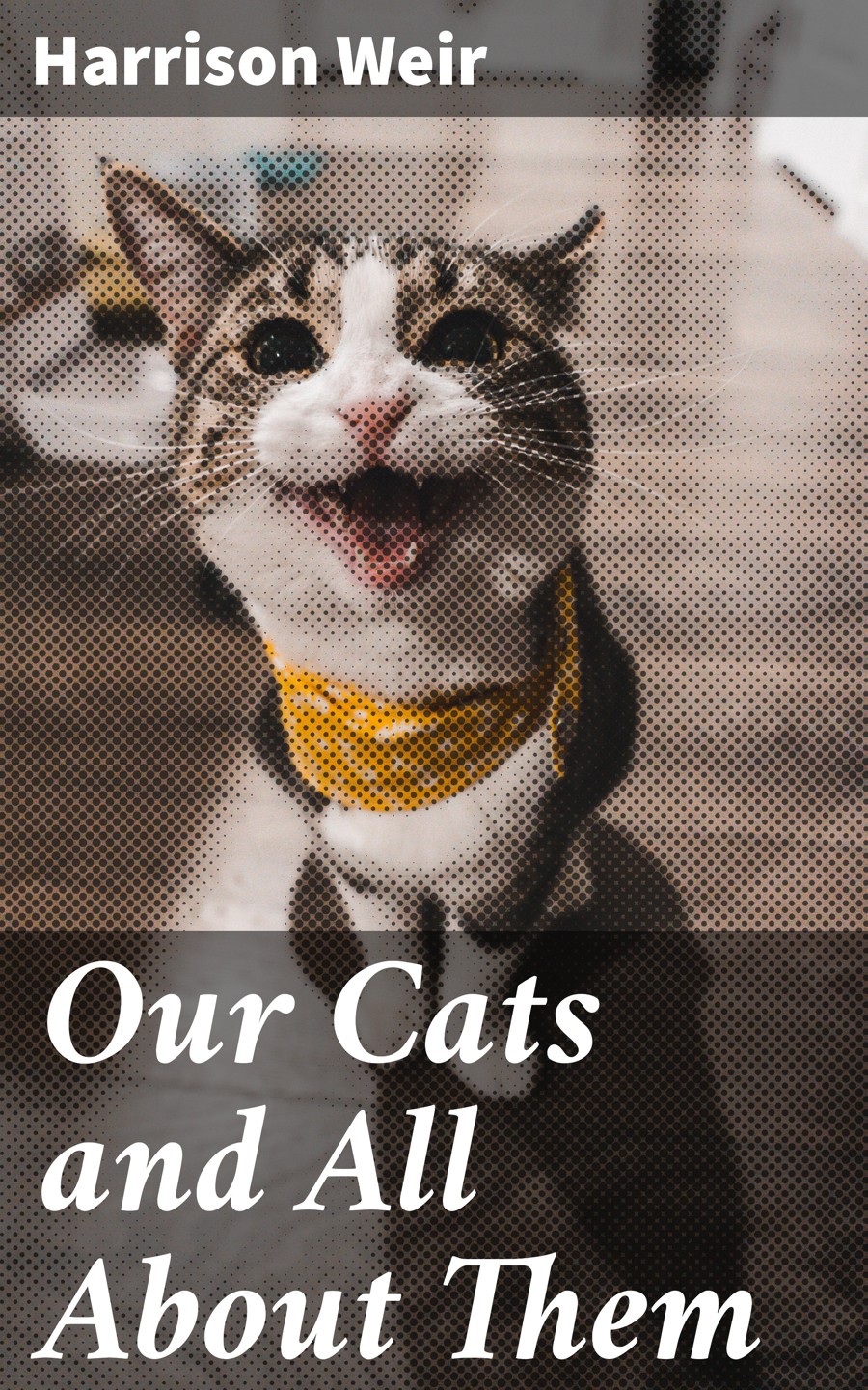 Our Cats And All About Them Harrison Weir