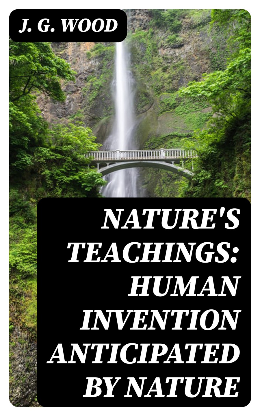 Natures Teachings Human Invention Anticipated By Nature J G Wood
