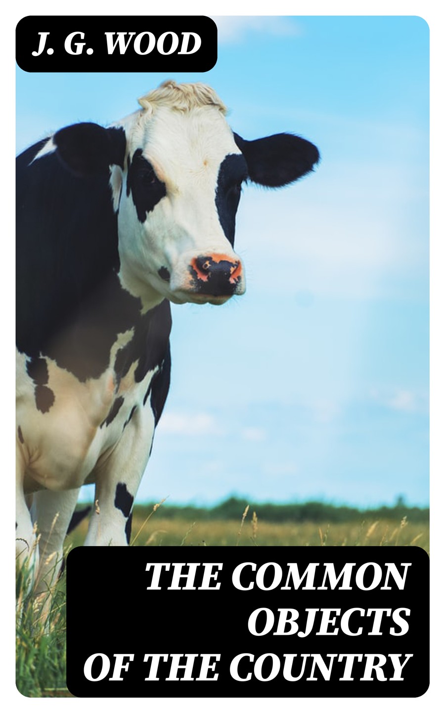 The Common Objects Of The Country J G Wood