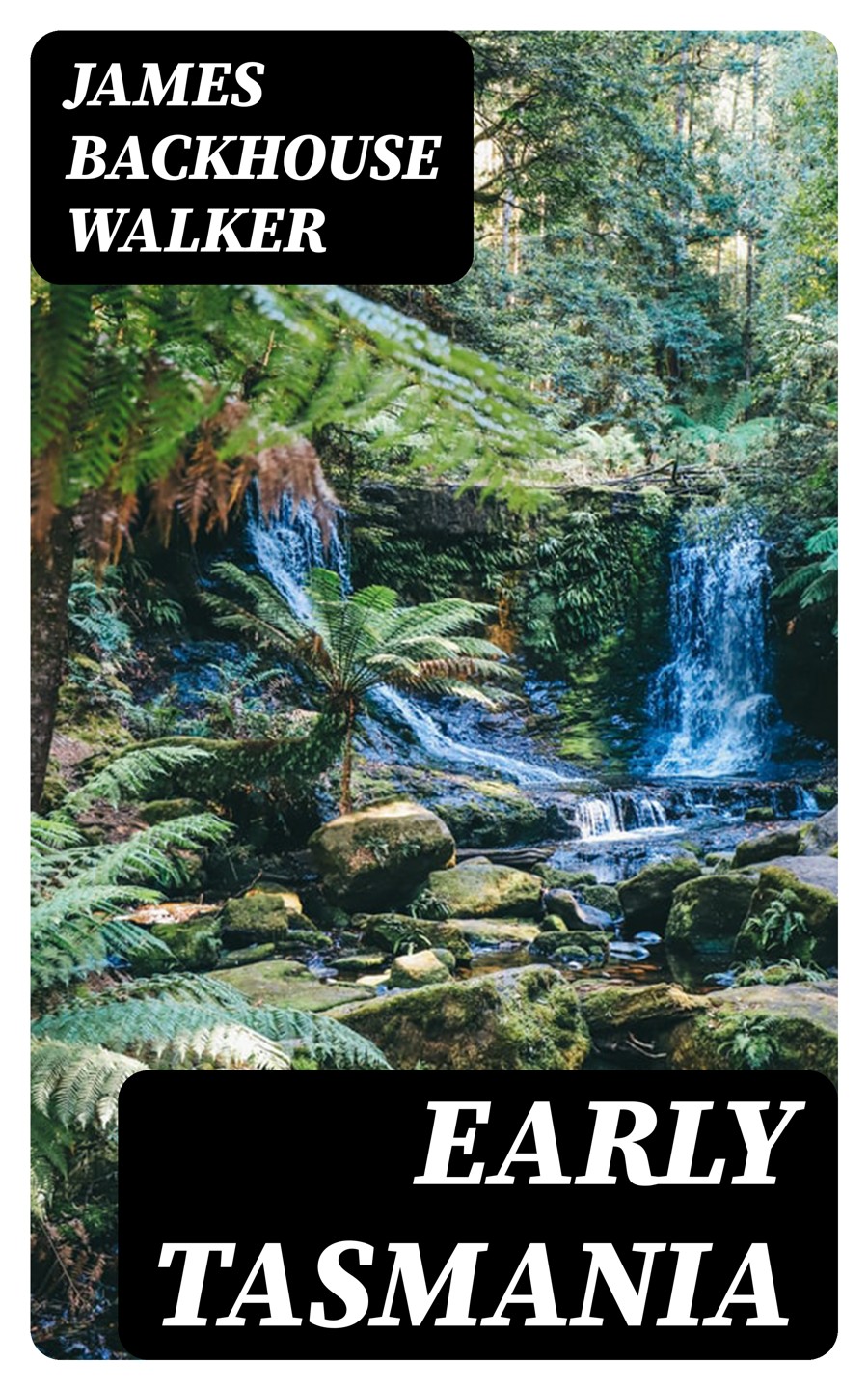 Early Tasmania James Backhouse Walker
