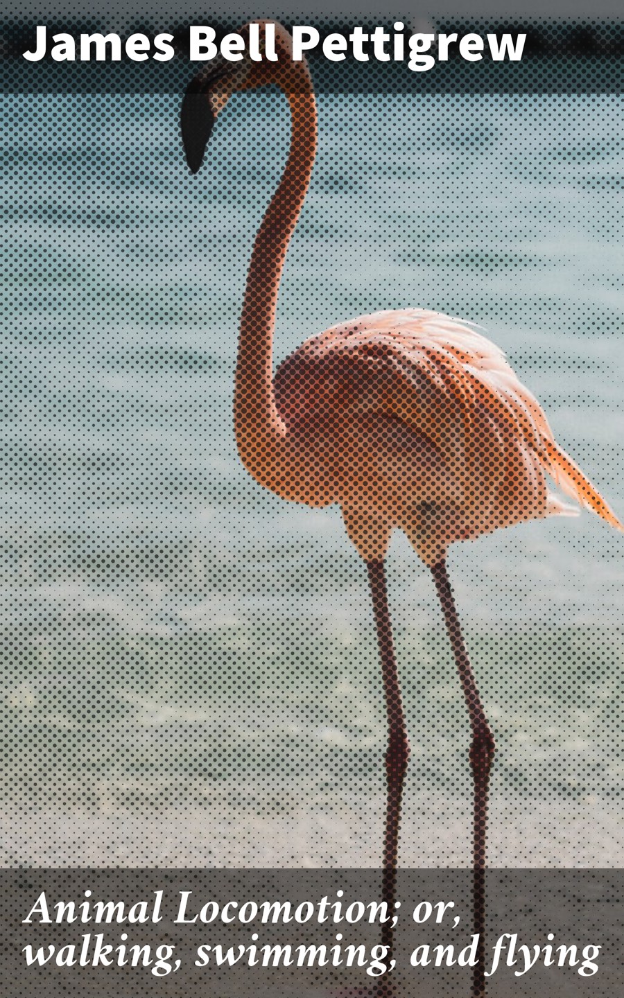 Animal Locomotion Or Walking Swimming And Flying James Bell Pettigrew