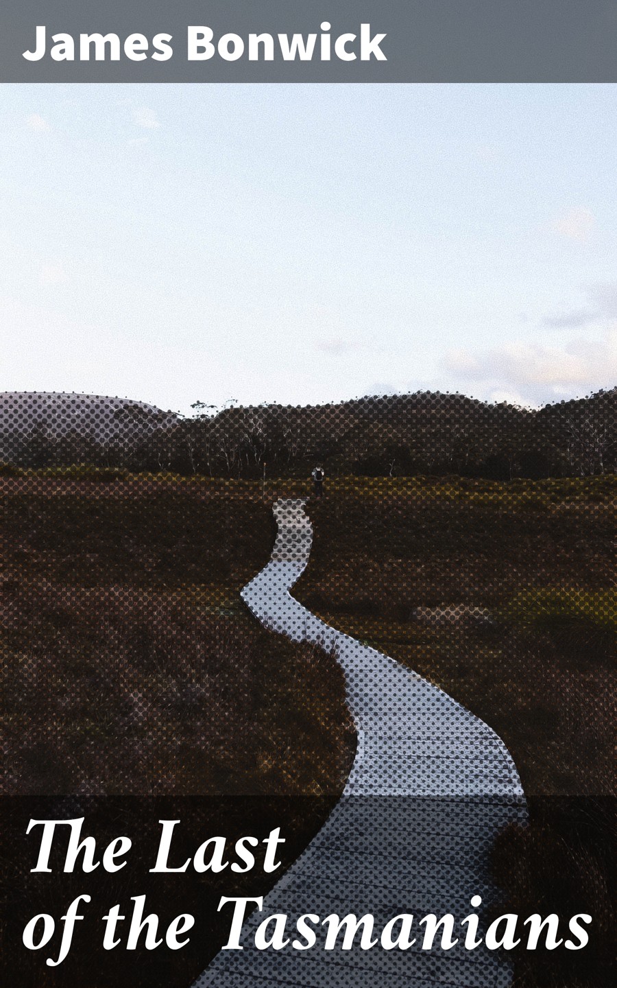 The Last Of The Tasmanians James Bonwick