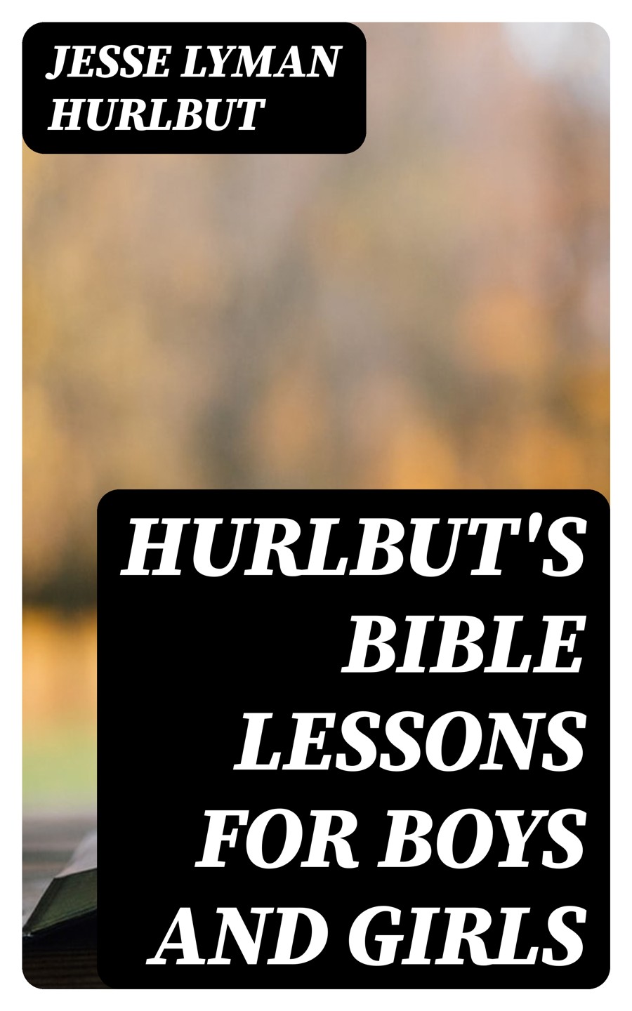 Hurlbuts Bible Lessons For Boys And Girls Jesse Lyman Hurlbut