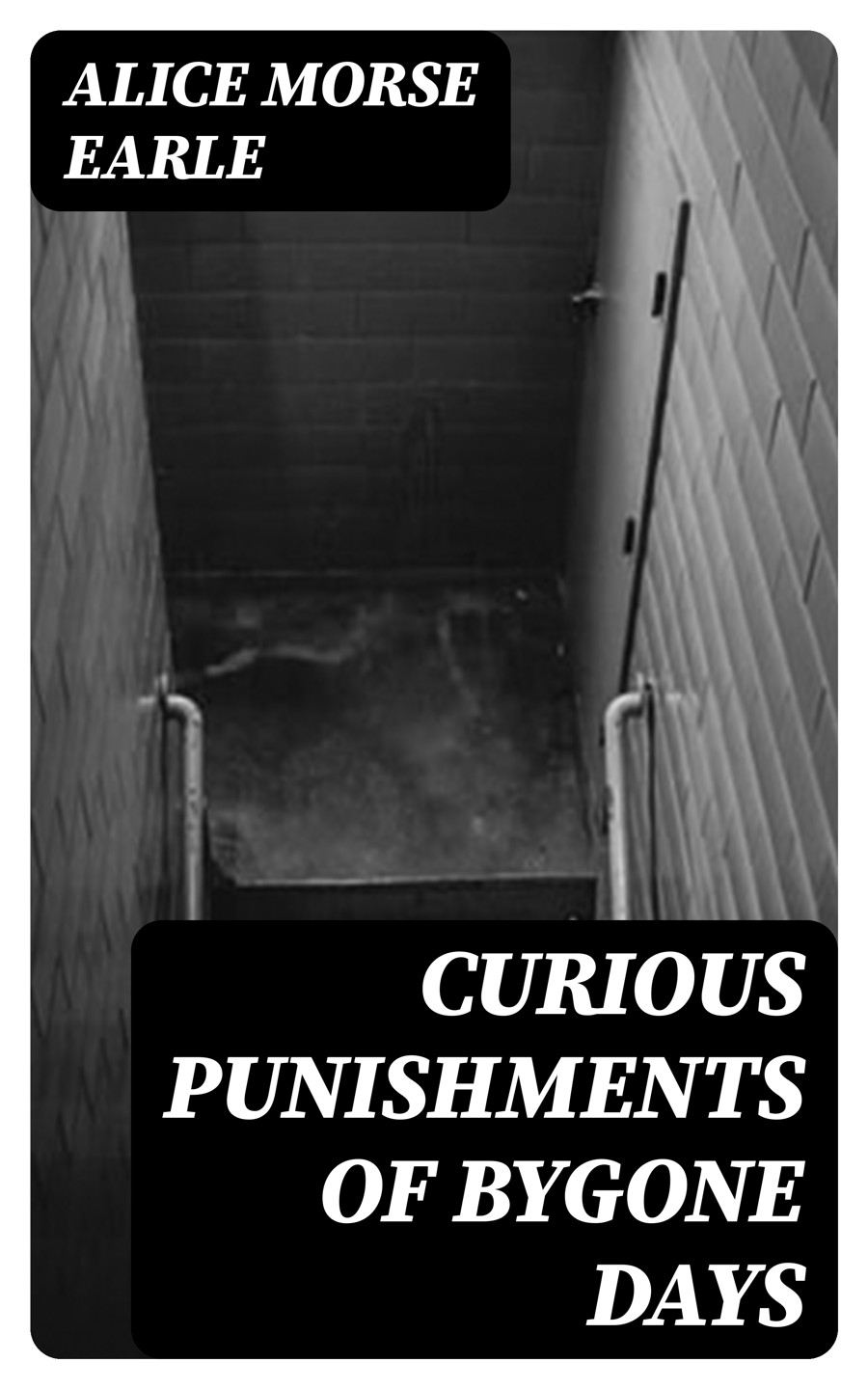 Curious Punishments Of Bygone Days Alice Morse Earle