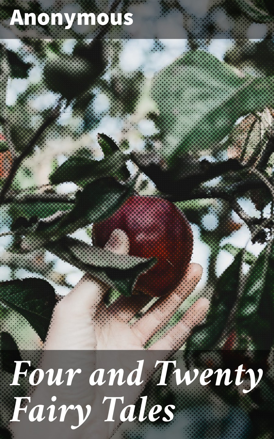 Four And Twenty Fairy Tales Anonymous