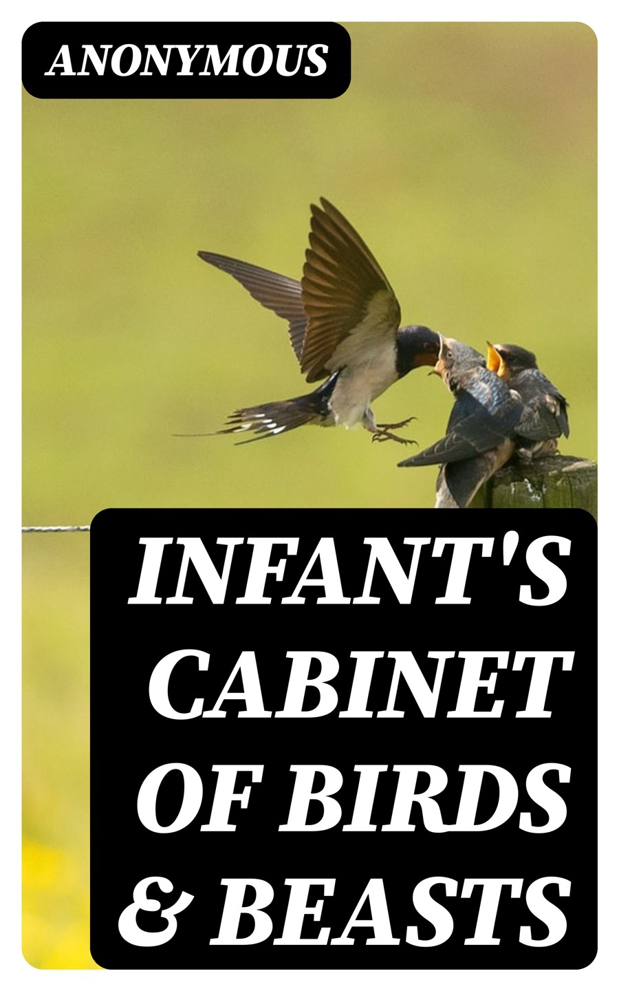 Infants Cabinet Of Birds Beasts Anonymous