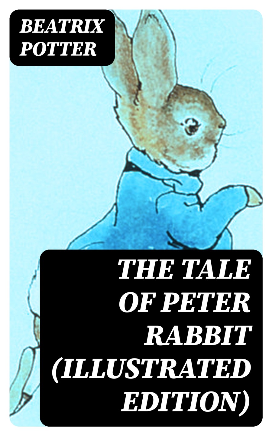 The Tale Of Peter Rabbit Illustrated Edition Beatrix Potter