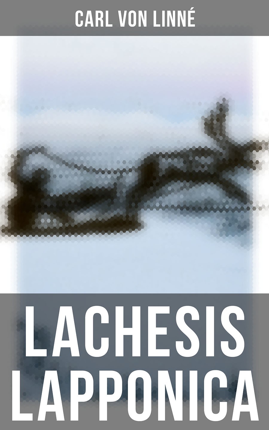 Lachesis Lapponica Carl Von Linn