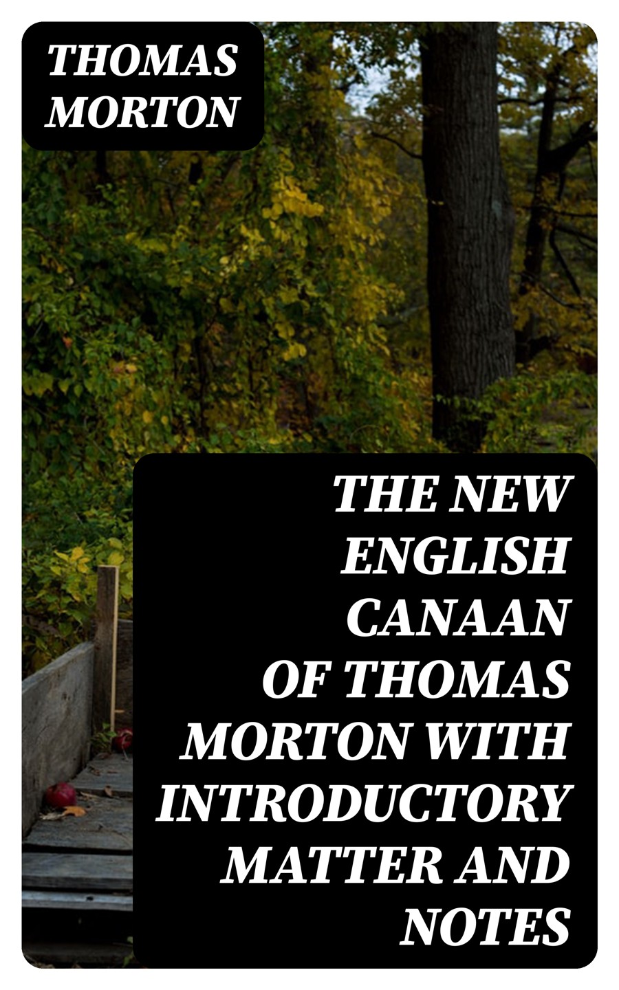 The New English Canaan Of Thomas Morton With Introductory Matter And Notes Thomas Morton