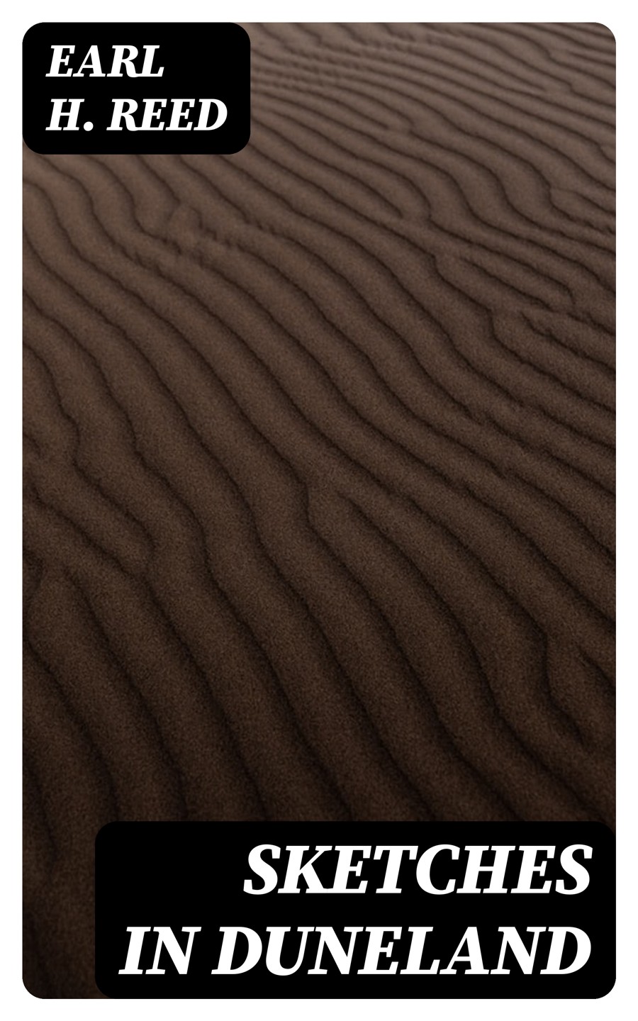 Sketches In Duneland Earl H Reed