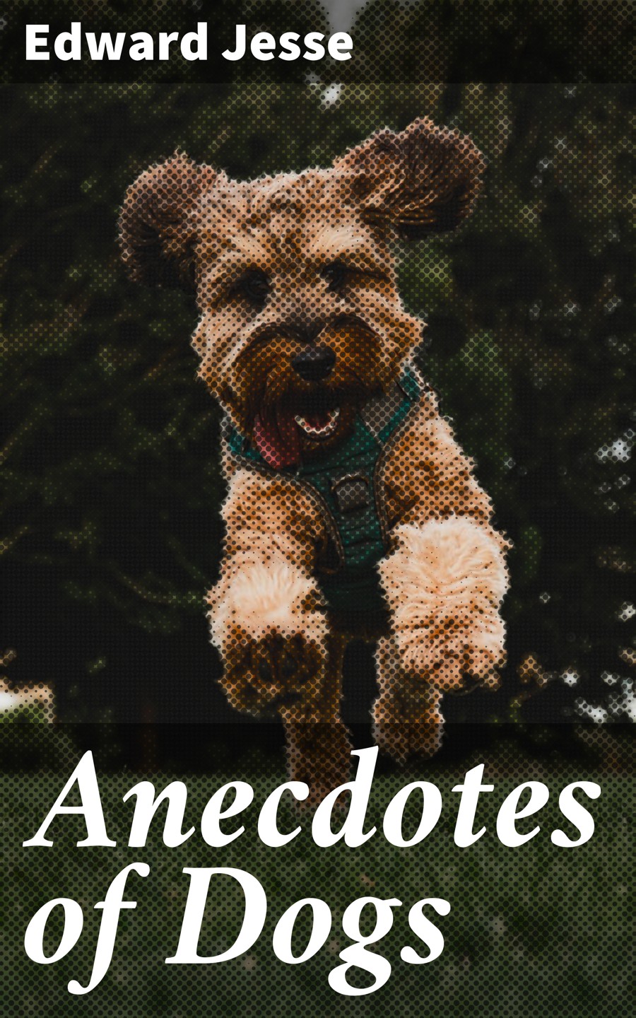 Anecdotes Of Dogs Edward Jesse