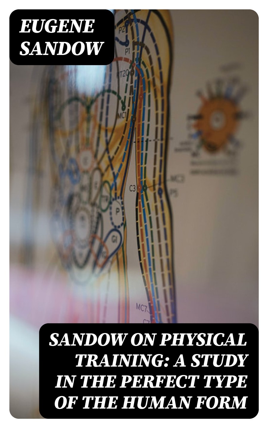 Sandow On Physical Training A Study In The Perfect Type Of The Human Form Eugene Sandow