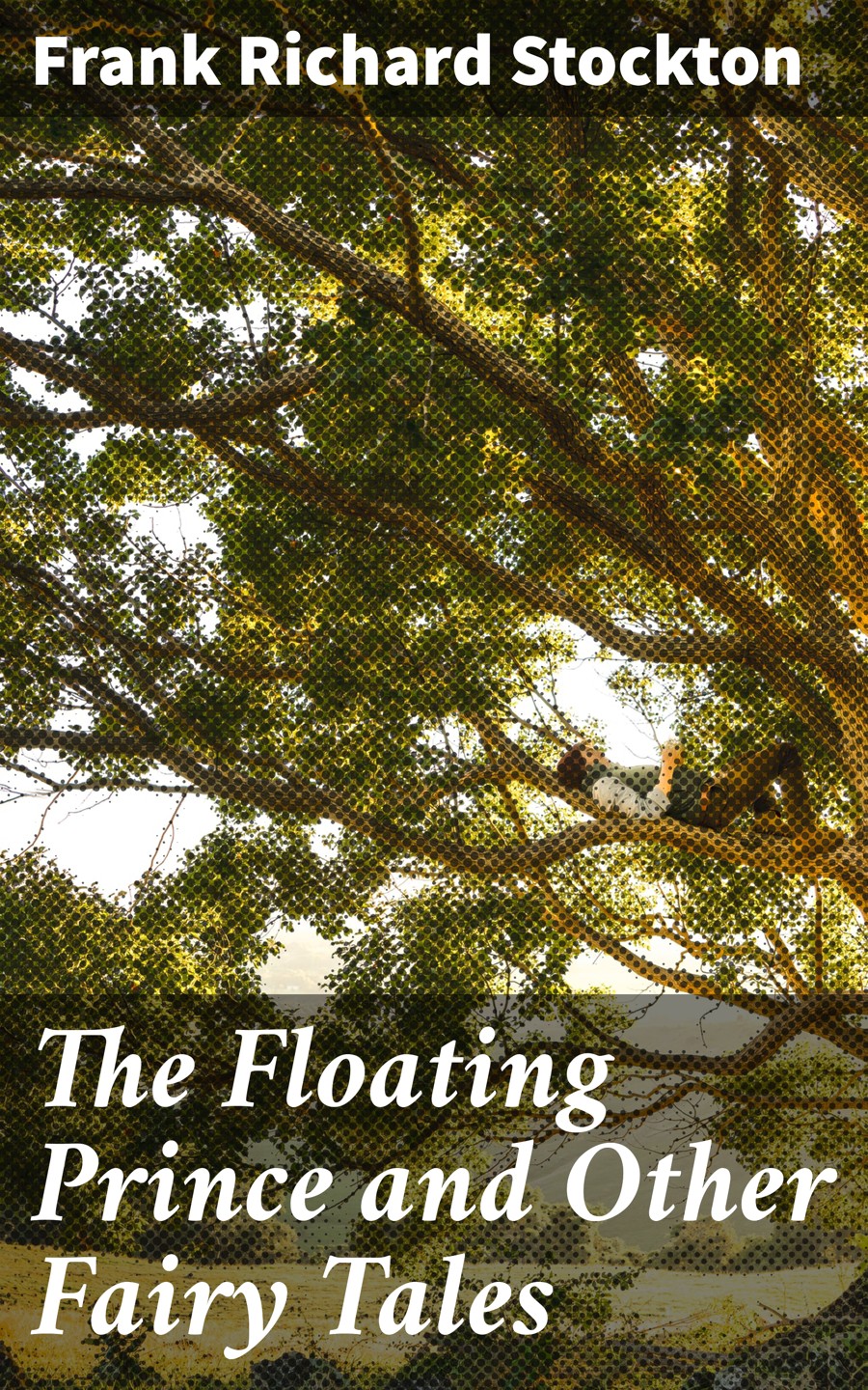 The Floating Prince And Other Fairy Tales Frank Richard Stockton