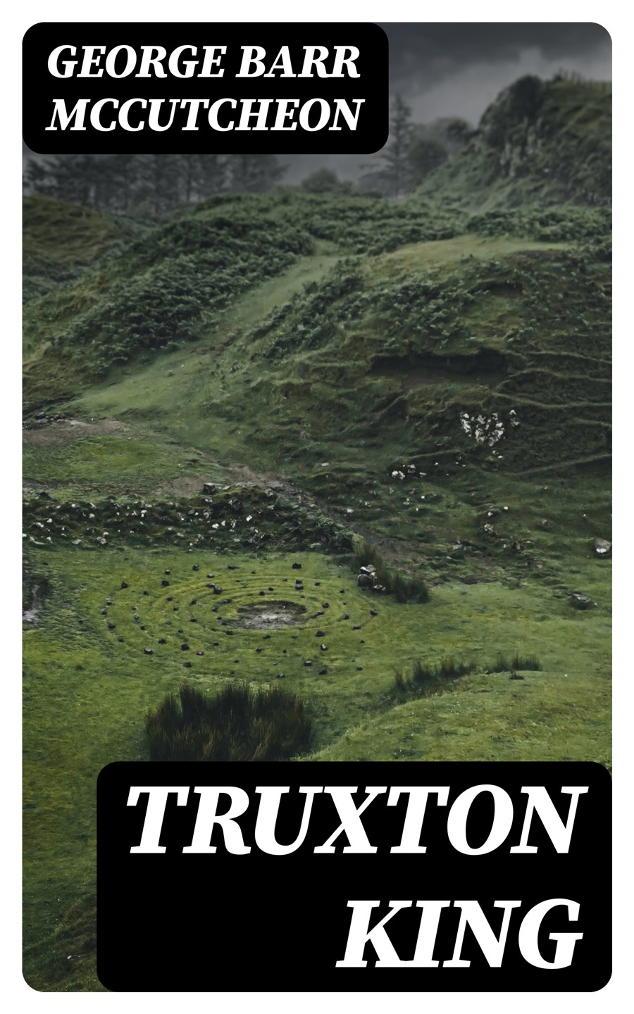 Truxton King George Barr Mccutcheon
