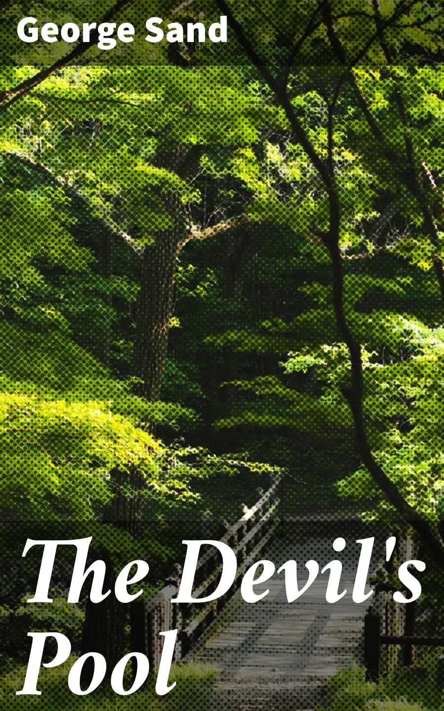 The Devils Pool George Sand