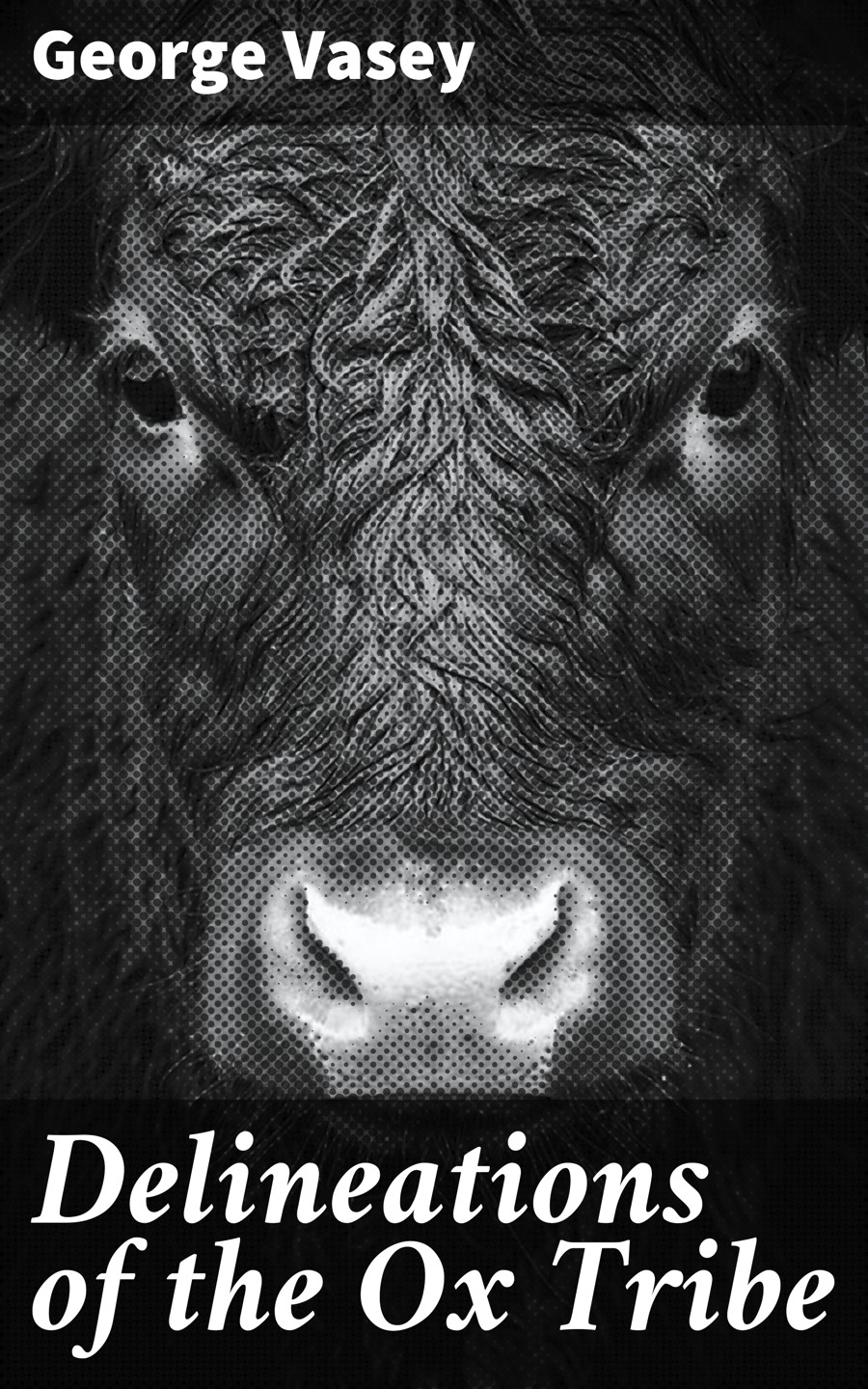Delineations Of The Ox Tribe George Vasey