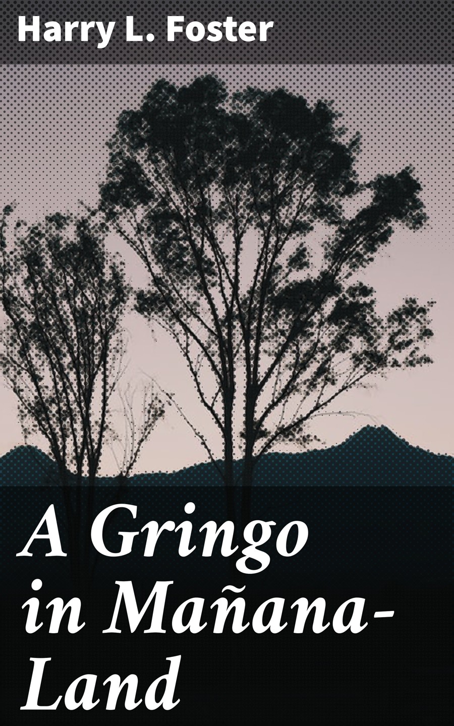A Gringo In Maanaland Harry L Foster