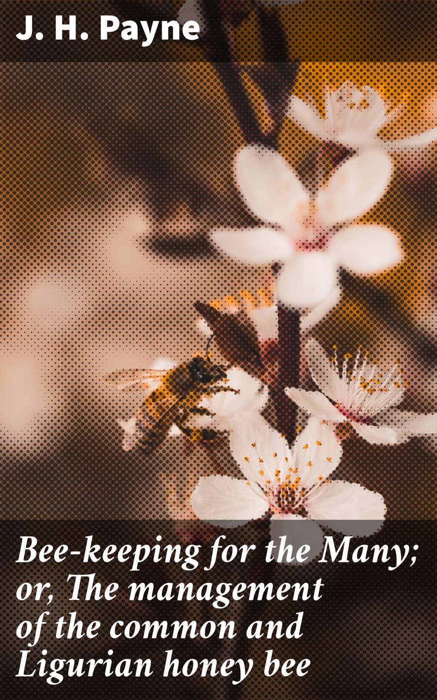 Beekeeping For The Many Or The Management Of The Common And Ligurian Honey Bee J H Payne