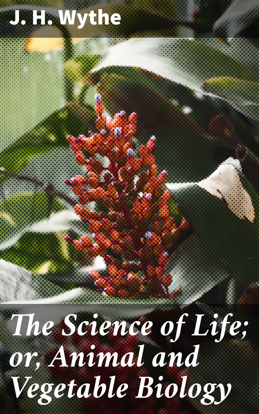The Science Of Life Or Animal And Vegetable Biology J H Wythe