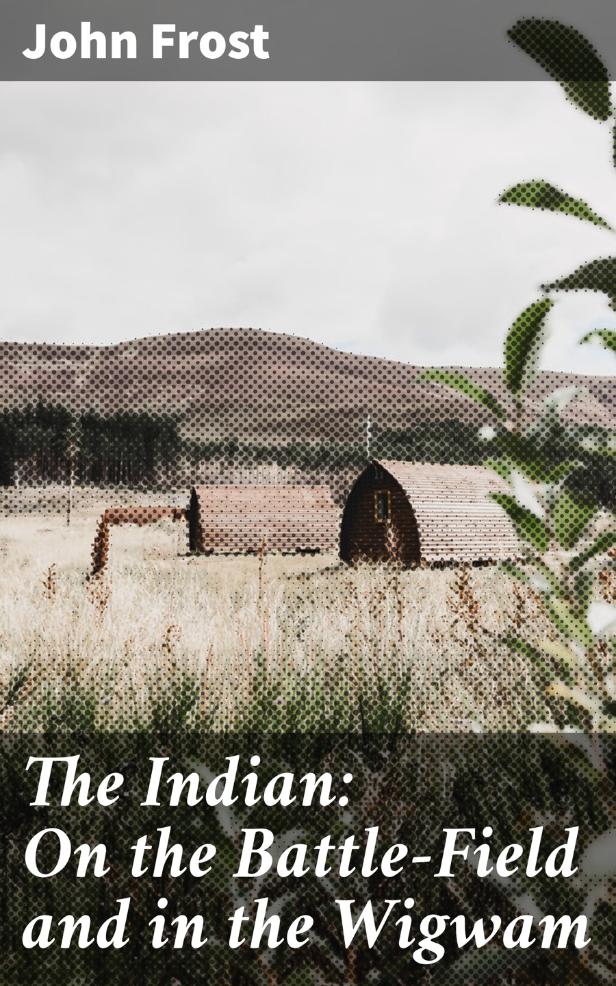 The Indian On The Battlefield And In The Wigwam John Frost