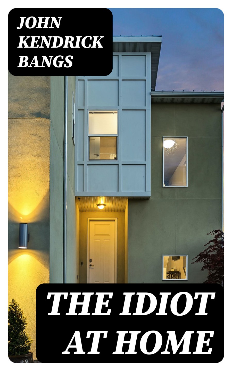 The Idiot At Home John Kendrick Bangs