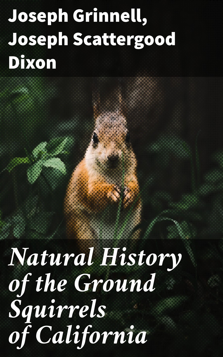 Natural History Of The Ground Squirrels Of California Joseph Grinnell Joseph Scattergood Dixon