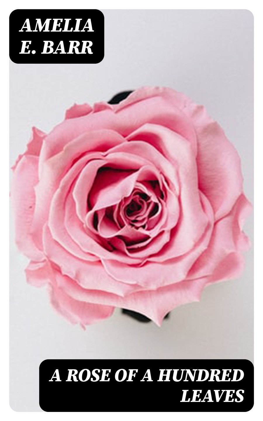 A Rose Of A Hundred Leaves Amelia E Barr
