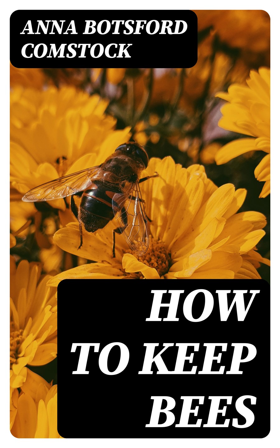 How To Keep Bees Anna Botsford Comstock