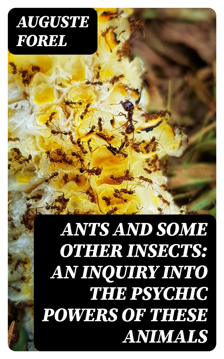 Ants And Some Other Insects An Inquiry Into The Psychic Powers Of These Animals Auguste Forel
