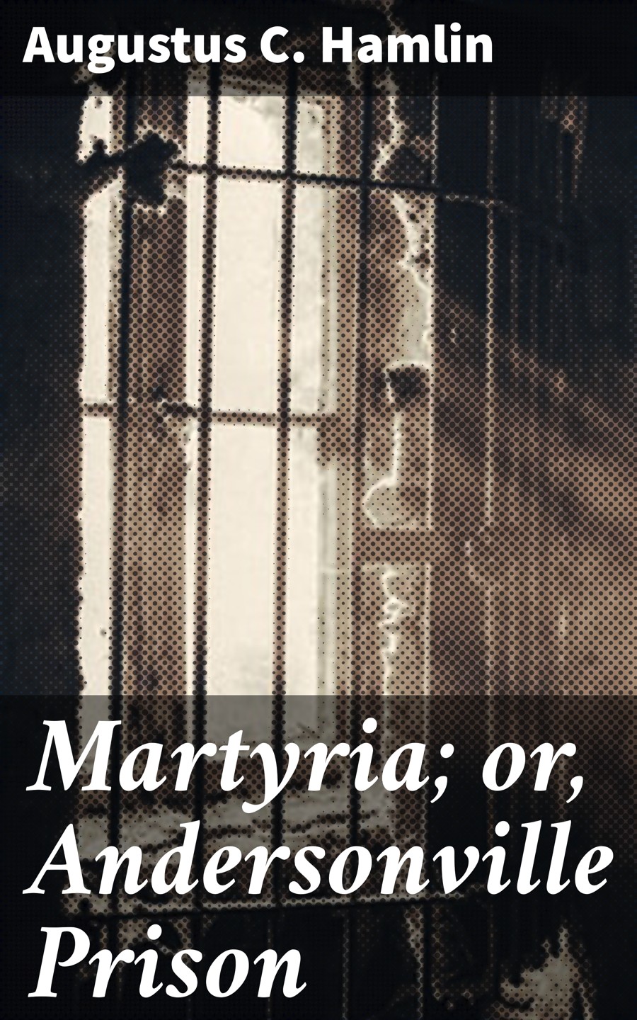 Martyria Or Andersonville Prison Augustus C Hamlin