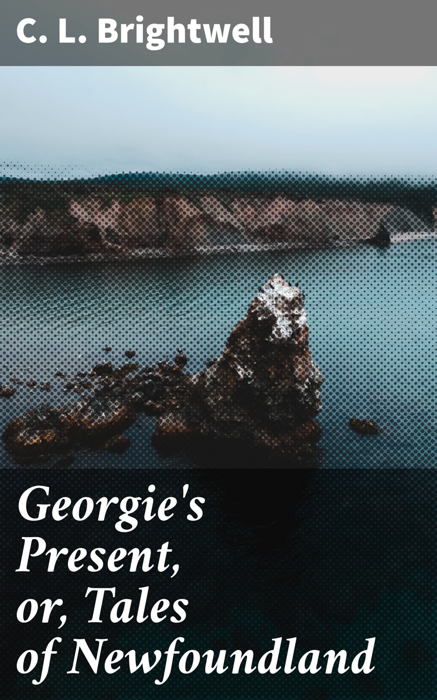 Georgies Present Or Tales Of Newfoundland C L Brightwell