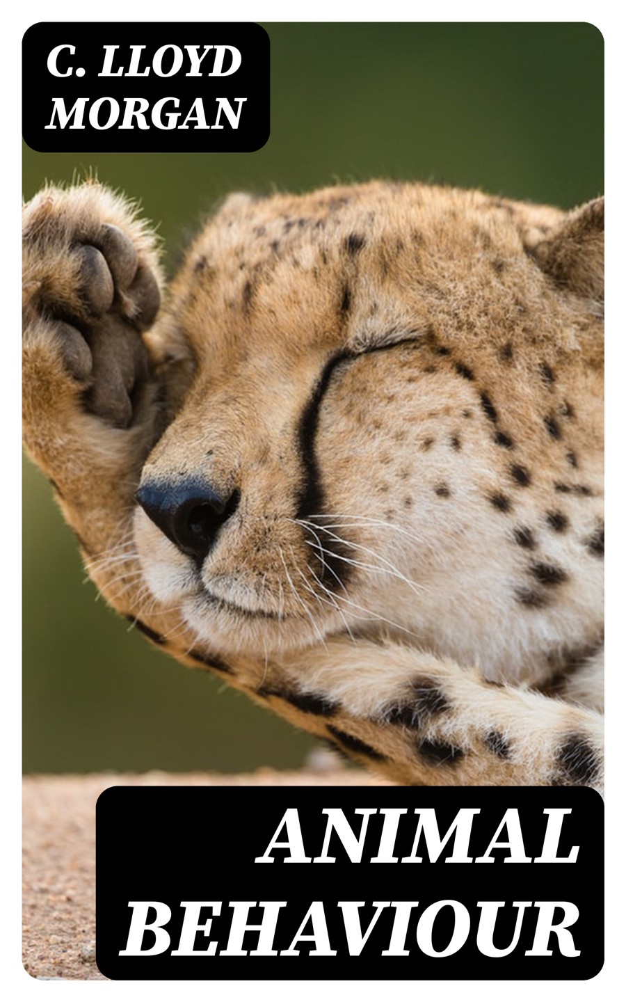 Animal Behaviour C Lloyd Morgan