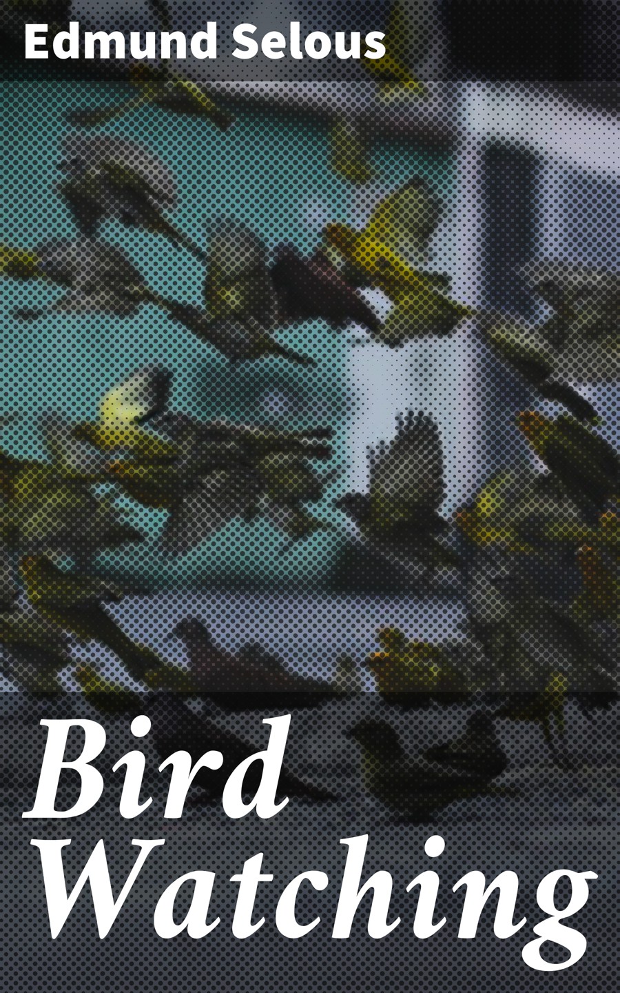 Bird Watching Edmund Selous