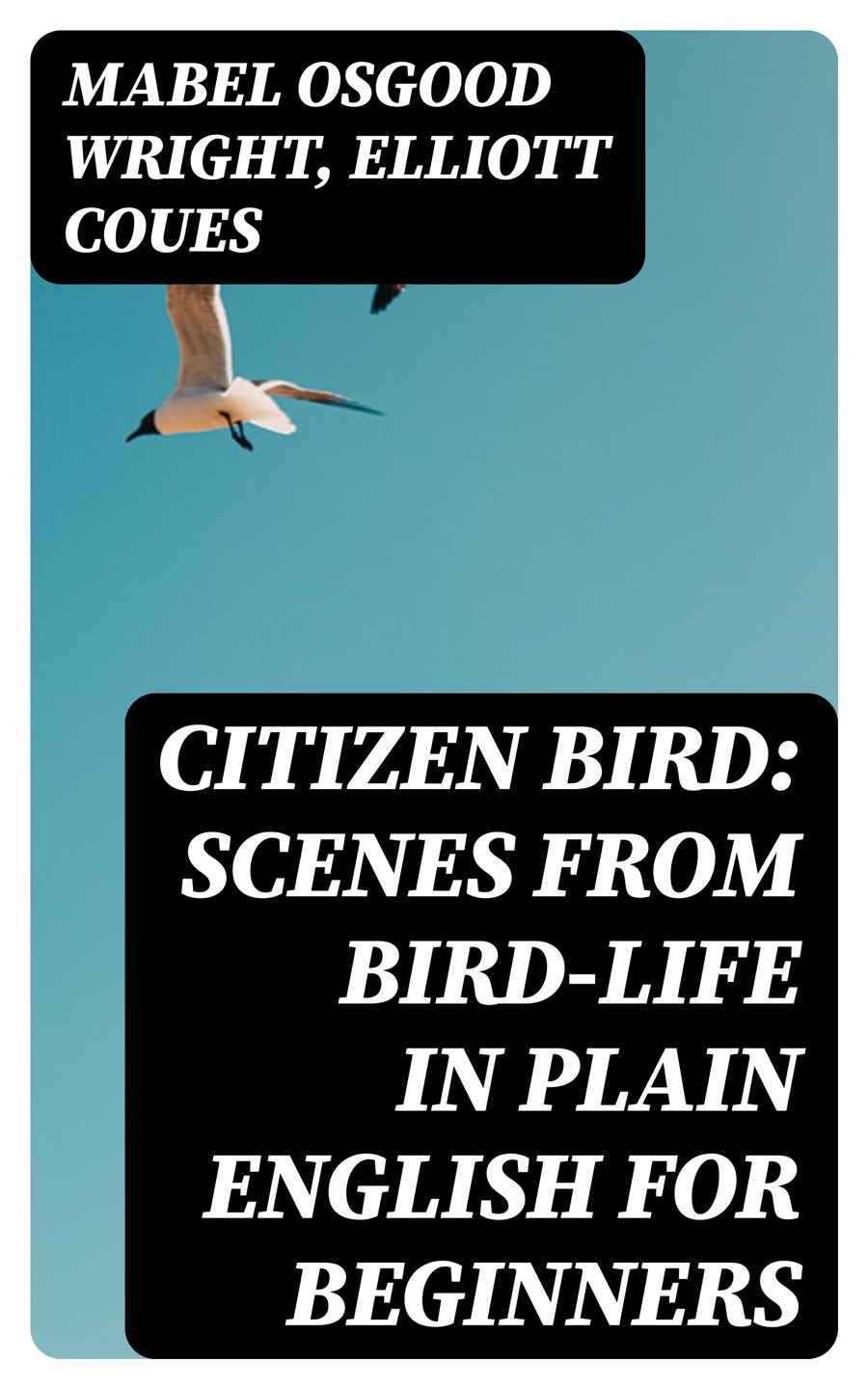 Citizen Bird Scenes From Birdlife In Plain English For Beginners Mabel Osgood Wright Elliott Coues
