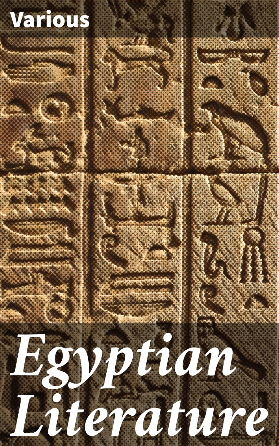 Egyptian Literature Various