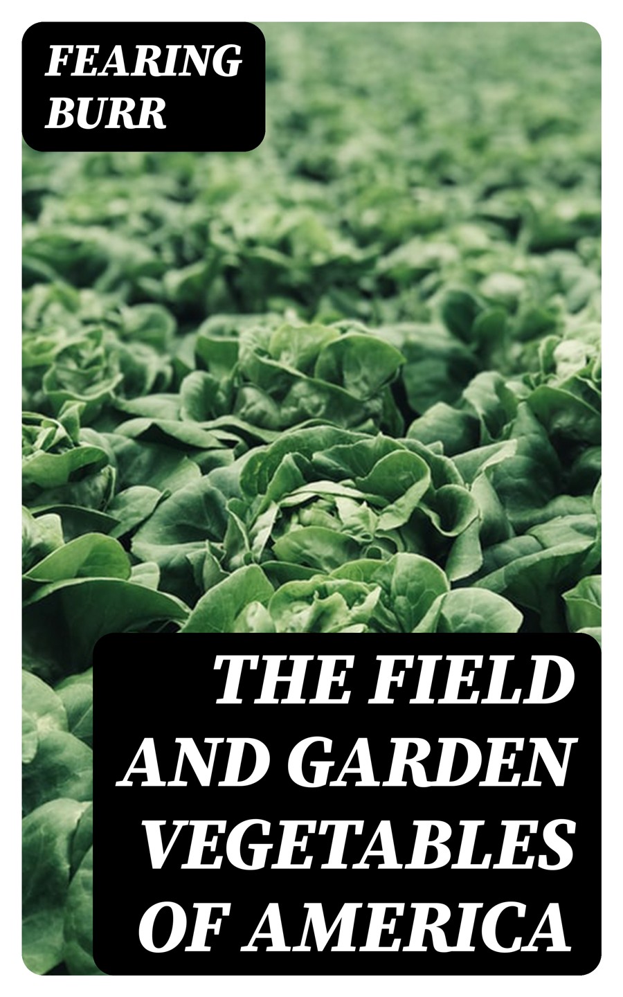 The Field And Garden Vegetables Of America Fearing Burr
