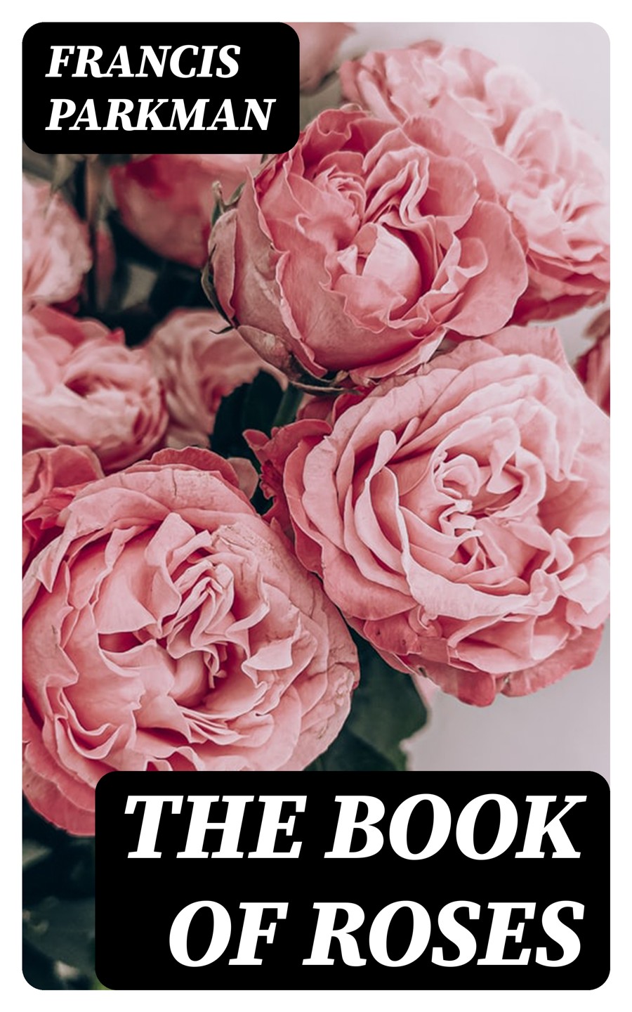 The Book Of Roses Francis Parkman