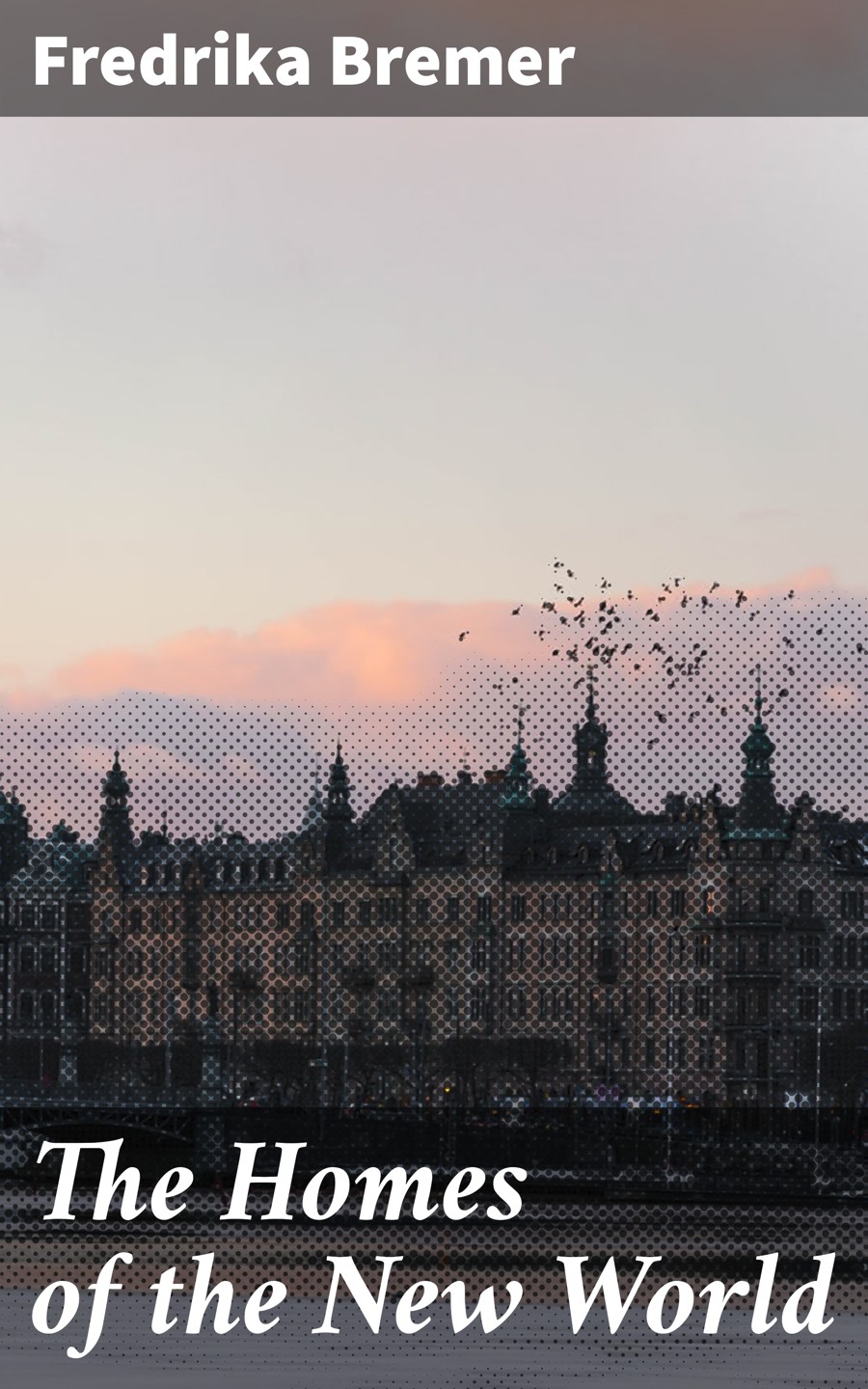 The Homes Of The New World Fredrika Bremer