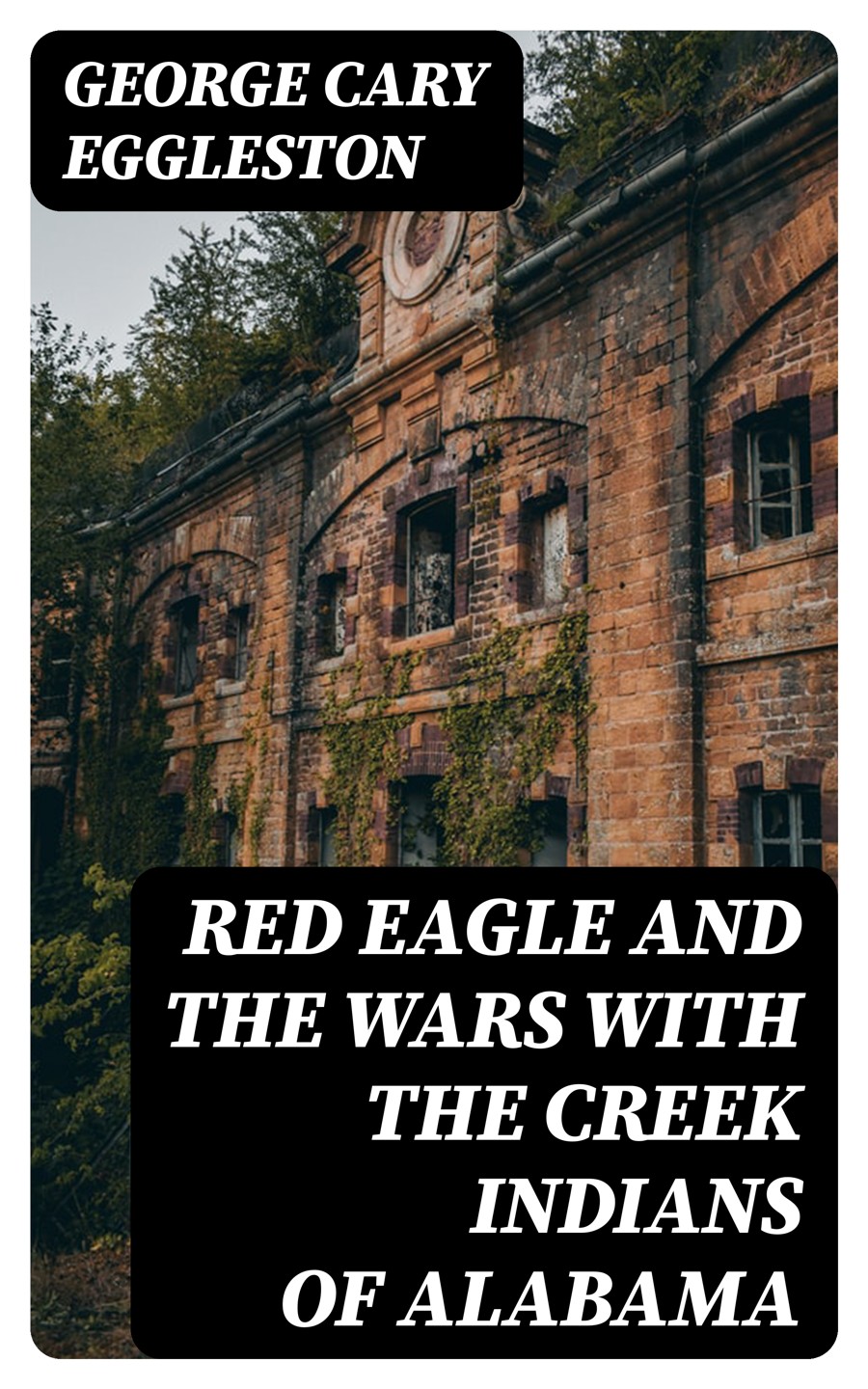 Red Eagle And The Wars With The Creek Indians Of Alabama George Cary Eggleston