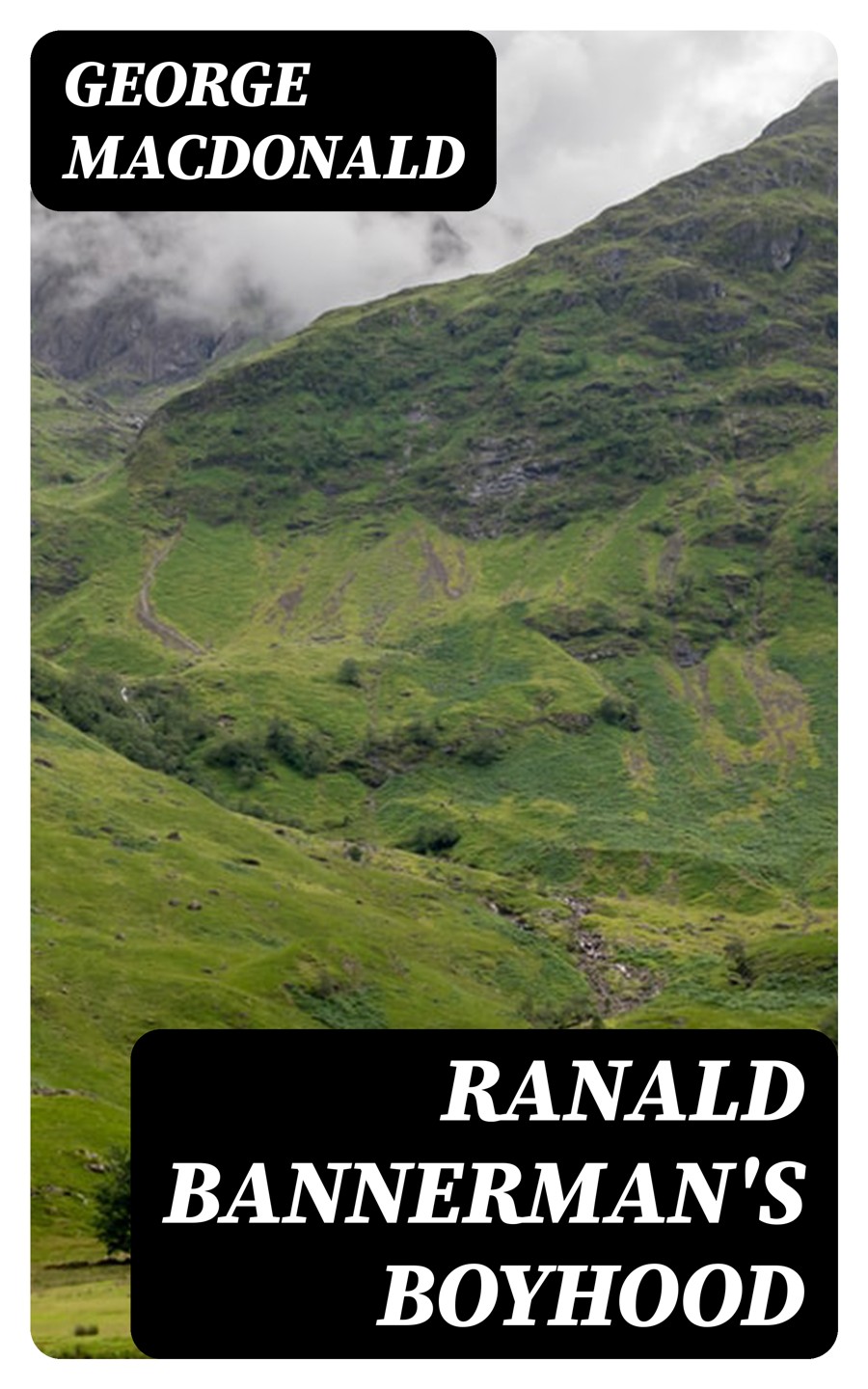 Ranald Bannermans Boyhood Adventure Classic Illustrated George Macdonald