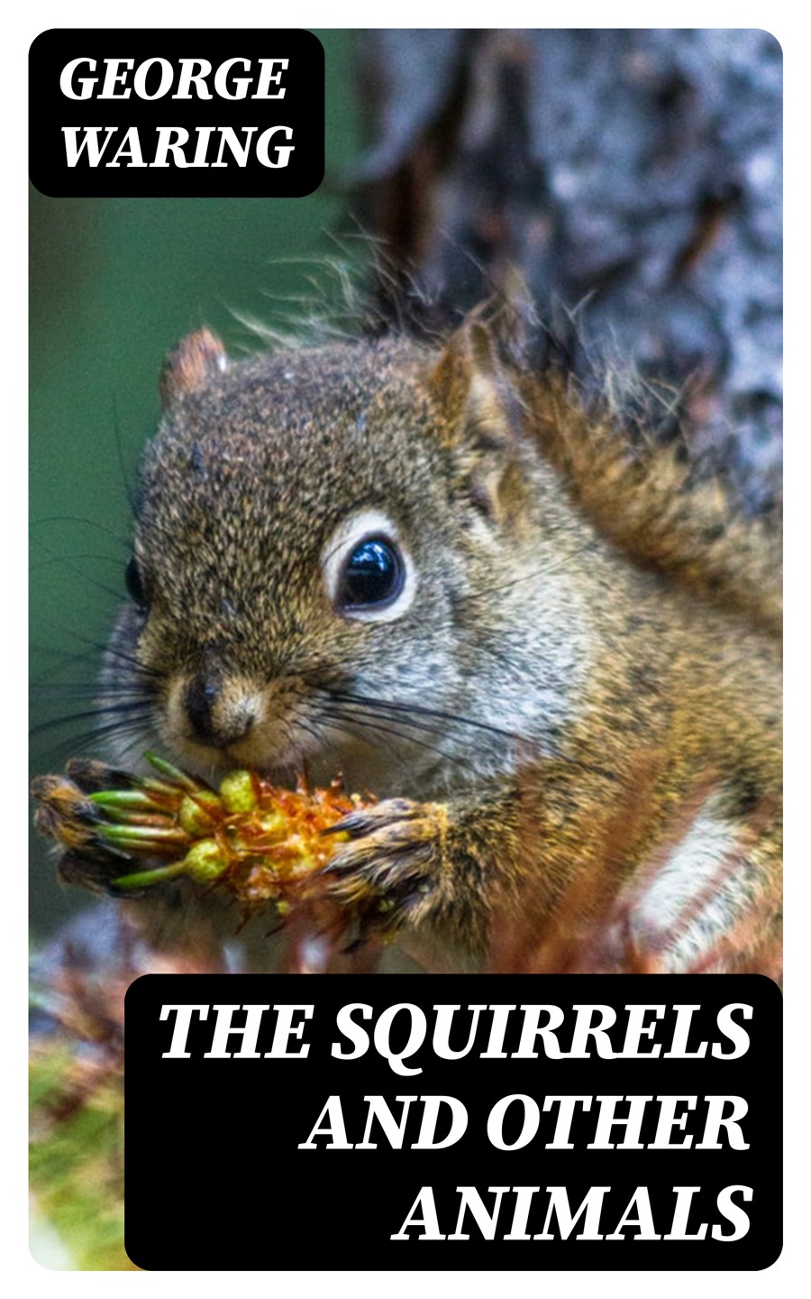 The Squirrels And Other Animals George Waring