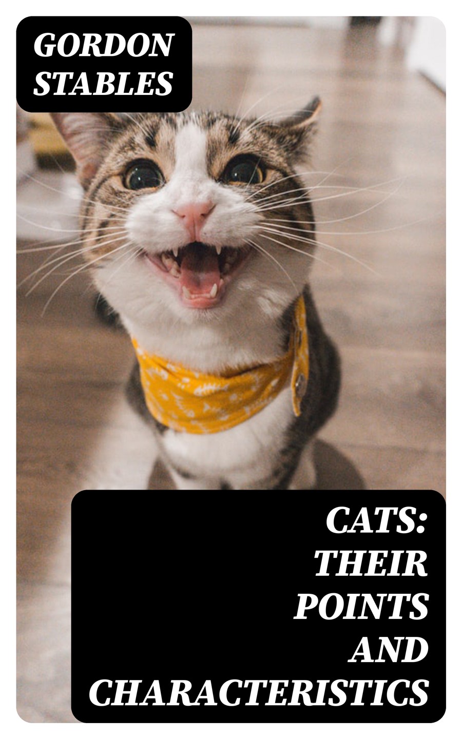 Cats Their Points And Characteristics Gordon Stables