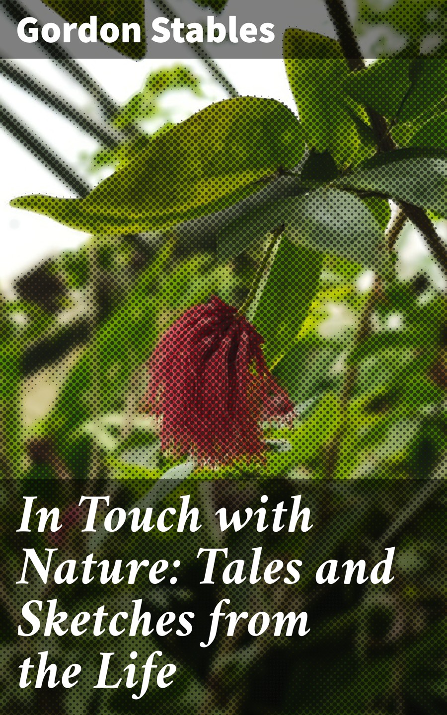 In Touch With Nature Tales And Sketches From The Life Gordon Stables