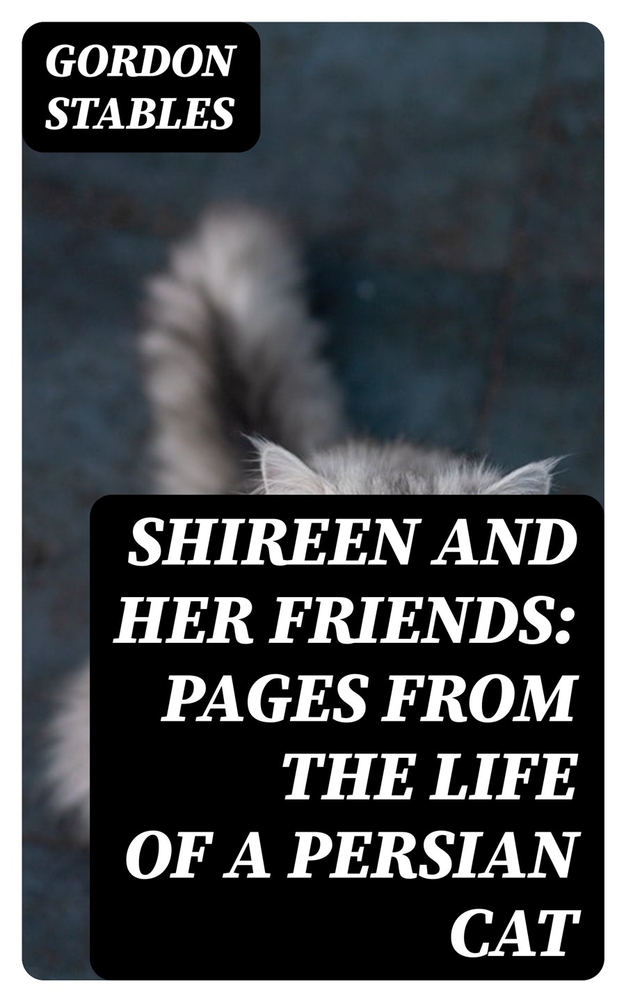 Shireen And Her Friends Pages From The Life Of A Persian Cat Gordon Stables
