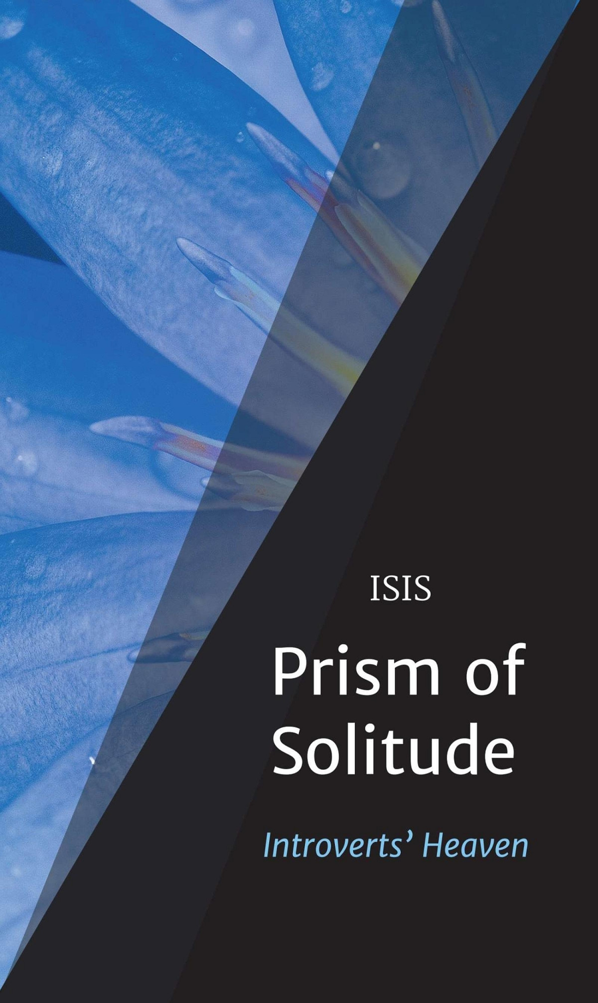 Prism Of Solitude Introverts Heaven