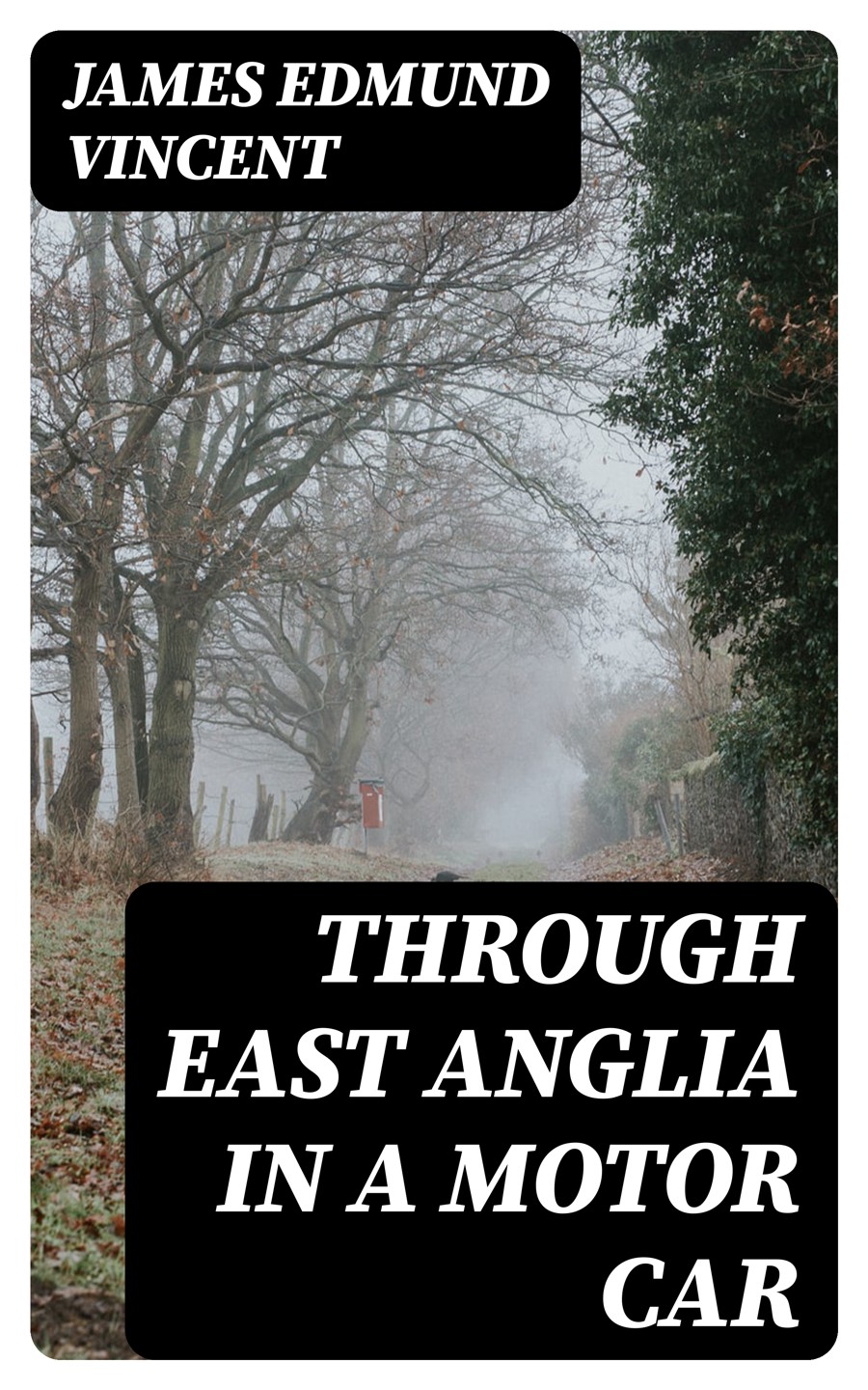 Through East Anglia In A Motor Car James Edmund Vincent