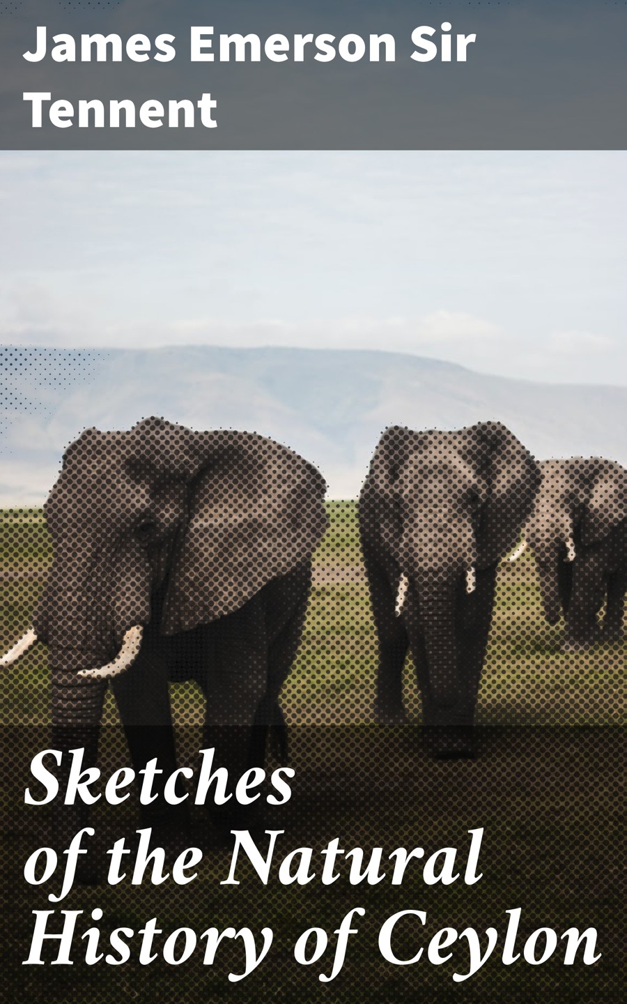 Sketches Of The Natural History Of Ceylon James Emerson Sir Tennent