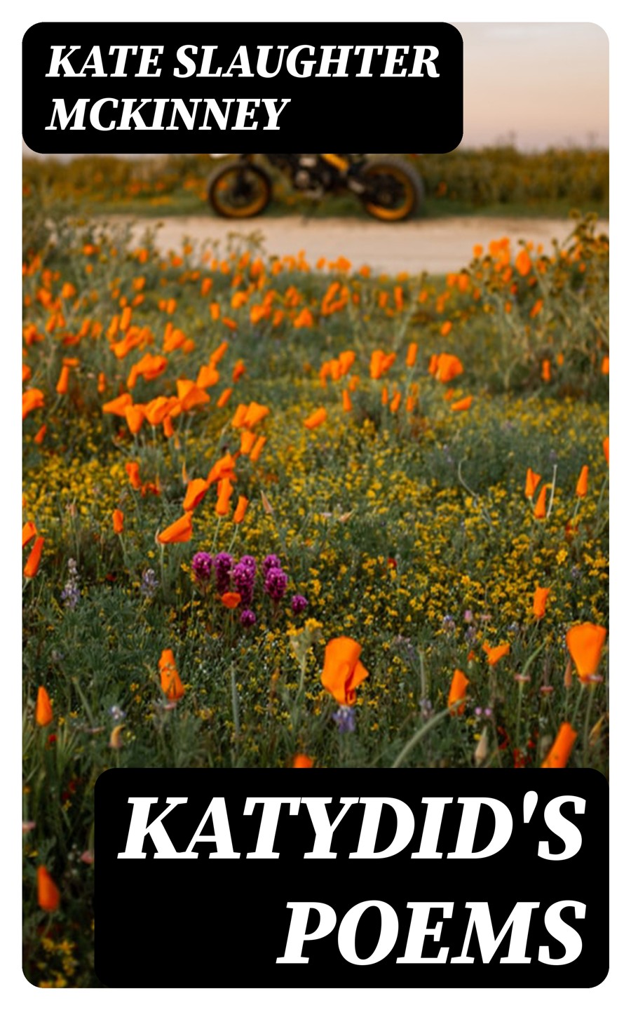 Katydids Poems Kate Slaughter Mckinney