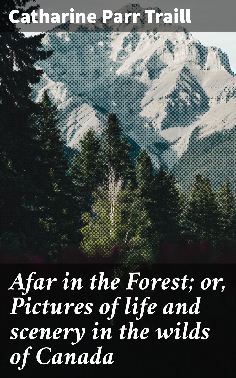 Afar In The Forest Or Pictures Of Life And Scenery In The Wilds Of Canada Catharine Parr Traill